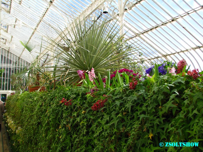 belfast_botanic_garden_palmhouse__026.jpg