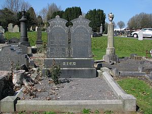 belfast_city_cremetery__007.jpg