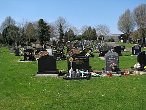 belfast_city_cremetery__030.jpg