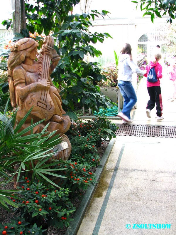 belfast_botanic_garden_palmhouse__016.jpg