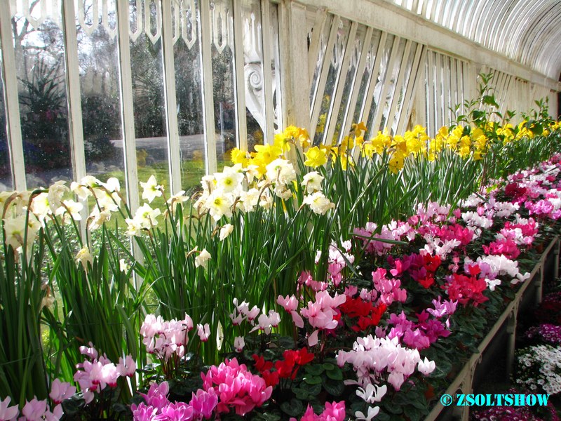 belfast_botanic_garden_palmhouse__020.jpg