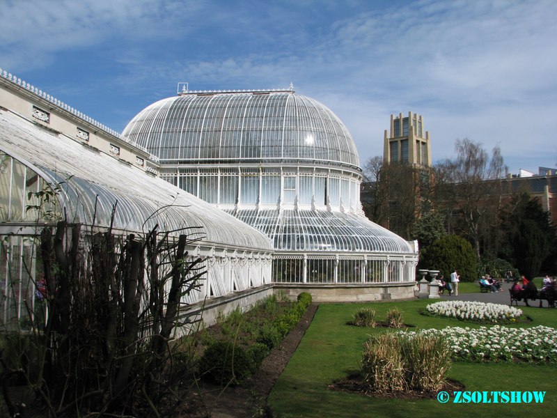 belfast_botanic_garden_palmhouse__095.jpg