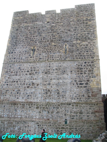 carrickfergus_castle__008.JPG