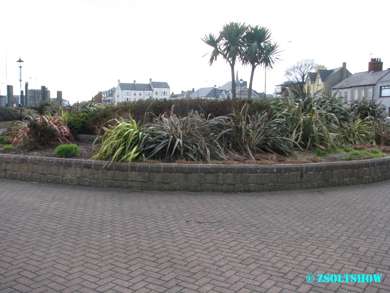 carrickfergus_town__028.jpg