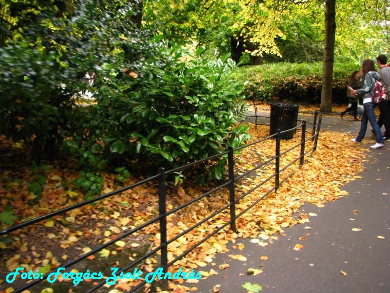 dublin_st_stephens_green_park_010.JPG