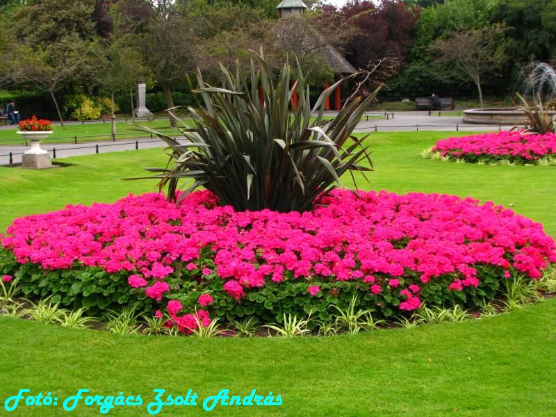 dublin_st_stephens_green_park_022.JPG