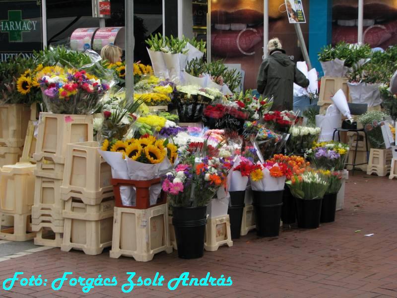 dublin_grafton_street_033.JPG