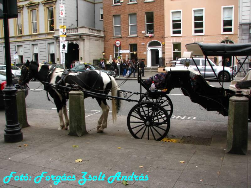 dublin_st_stephens_green_026.JPG