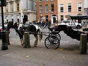 dublin_st_stephens_green_026.JPG