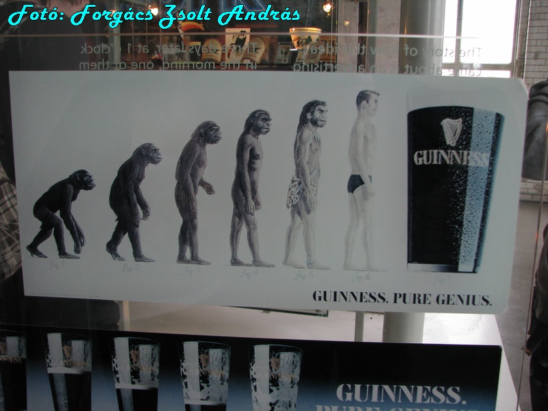 guinness_factory__107.JPG