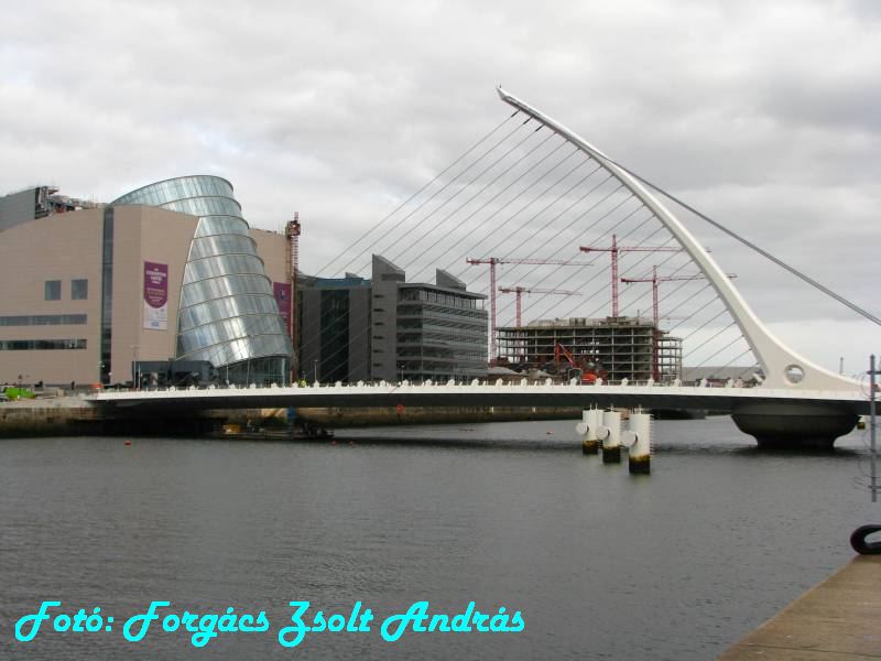 dublin_sir_john_rogersons_quay_005.JPG