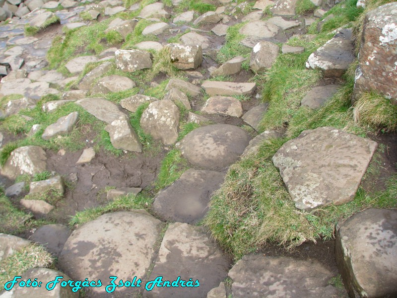 giants_causeway__040.JPG