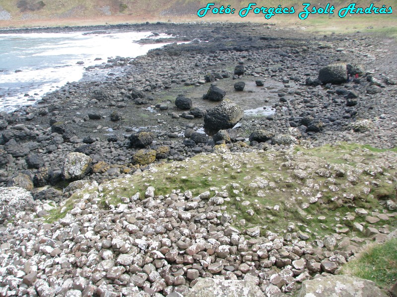 giants_causeway__061.JPG