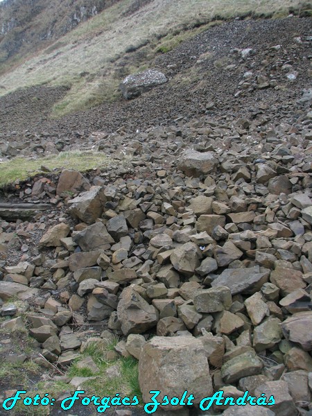 giants_causeway__066.JPG