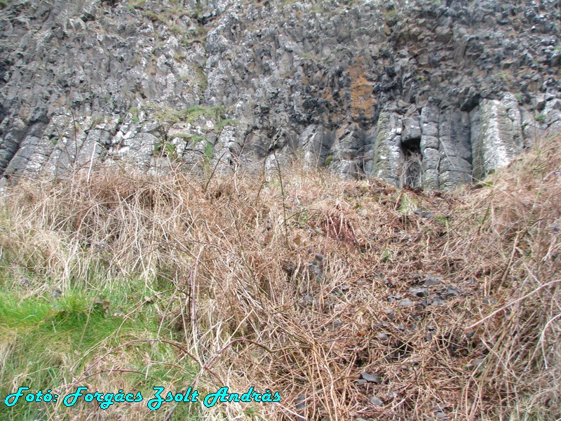 giants_causeway__081.JPG