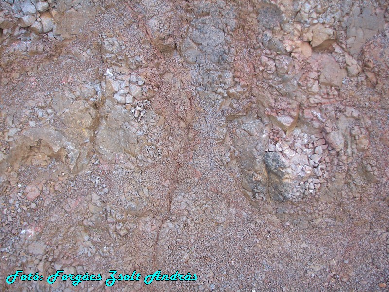 giants_causeway__095.JPG