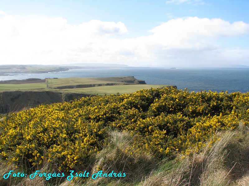 giants_causeway__135.JPG