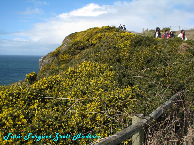 giants_causeway__142.JPG