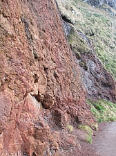 giants_causeway__089.JPG