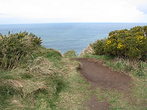 giants_causeway__124.JPG