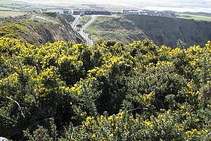 giants_causeway__137.JPG